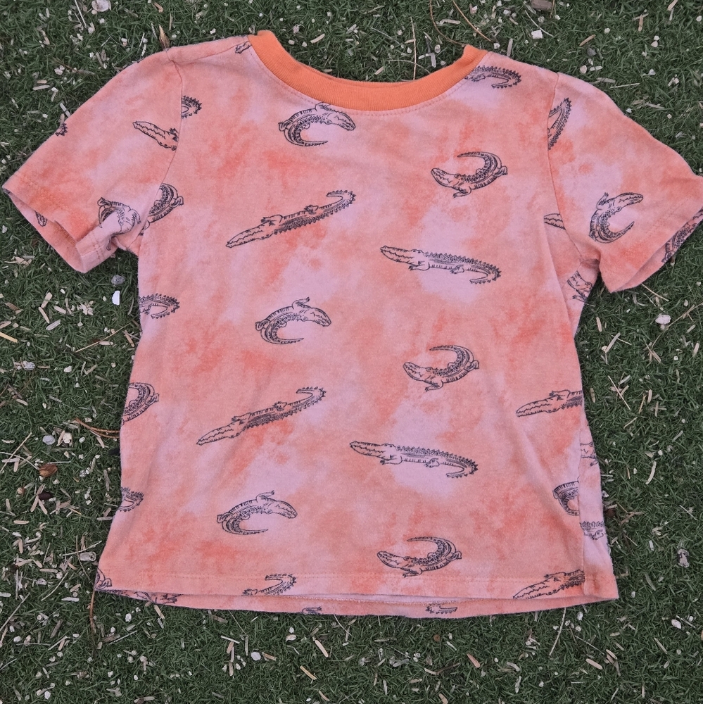 🐊 Crocodile Short sleeve T-shirt, Boys Size 4T